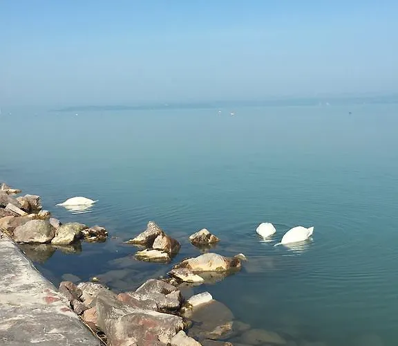 Apartman Cuki Siófok